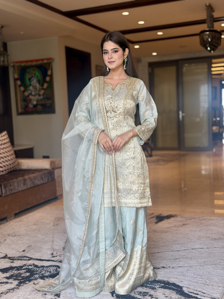 Banarasi Silk Zari Jaal Woven & Embroidered Kurta Sharara Set with Dupatta in Powder Blue