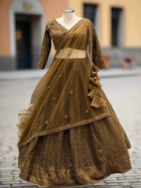 Olive Brown Net Lehenga