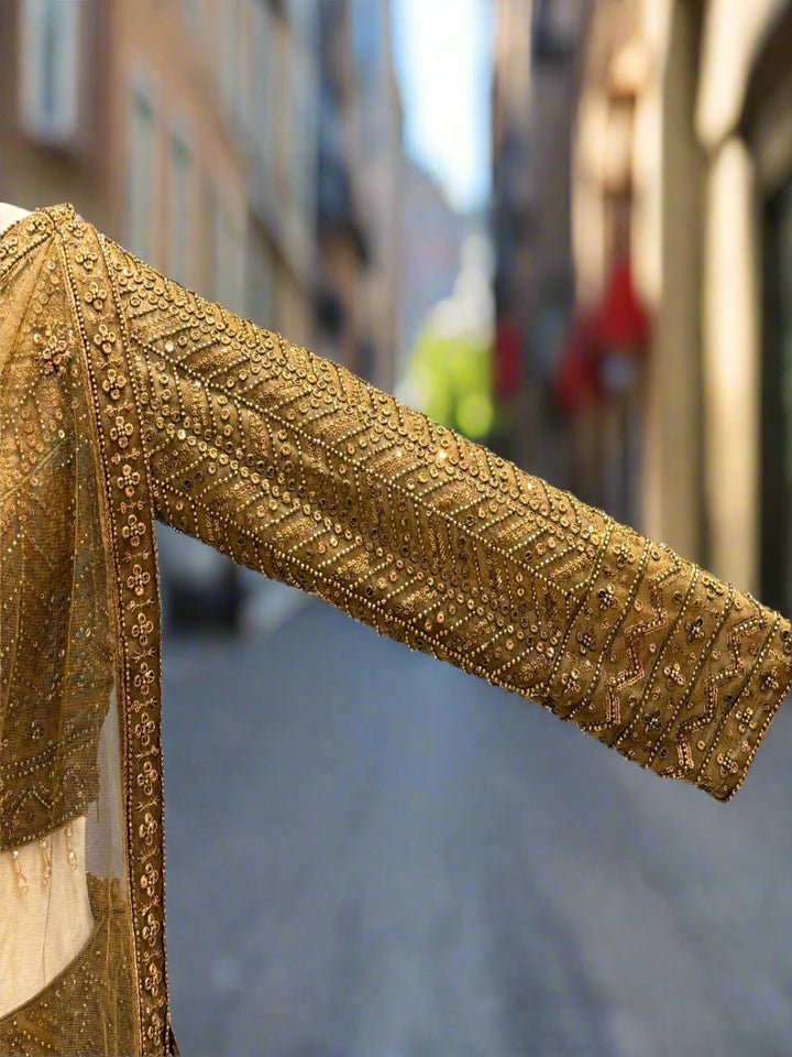 Olive Brown Net Lehenga