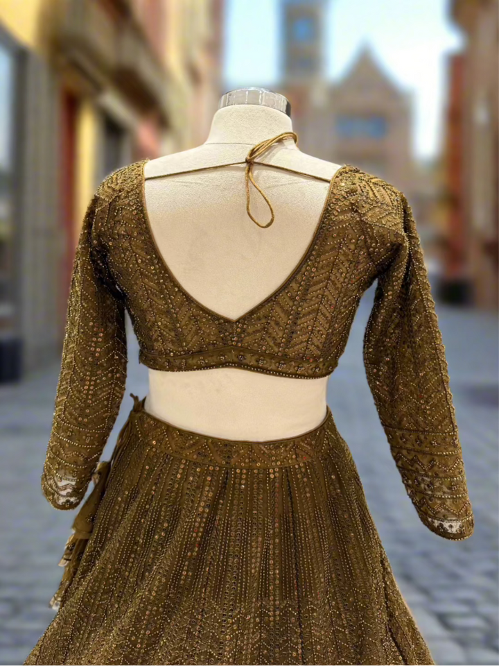 Olive Brown Net Lehenga