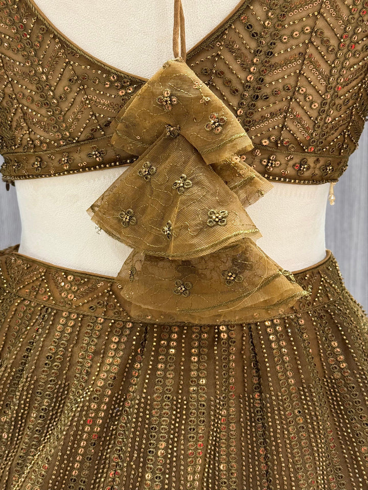Olive Brown Net Lehenga