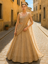 Beige Sequins Embroidered Net Lehenga with Unstitched Blouse & Dupatta