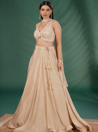 Cut Dana Embellished Sleeveless Blouse and Flared Lehenga Set with Dupatta