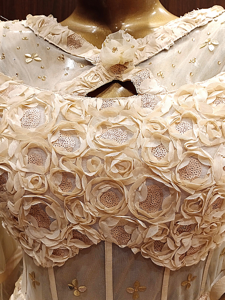 Gold Flared Net Gown with Ribbon Embroidery & Ruffles And Layering