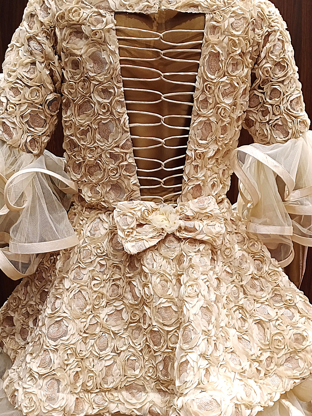 Gold Flared Net Gown with Ribbon Embroidery & Ruffles And Layering