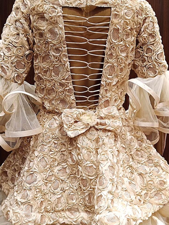 Gold Flared Net Gown with Ribbon Embroidery & Ruffles And Layering