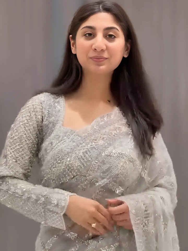 Elegant Silver Grey Embroidered Net Saree with Sequin Work & Full Sleeve Blouse