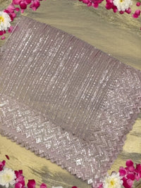 Chhabra 555 Blush Pink Sequin Embroidered Designer Saree with Zigzag Border