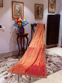 Shimmer Georgette Saree with Sequin Bead Strip Border, Dual Tone Finish