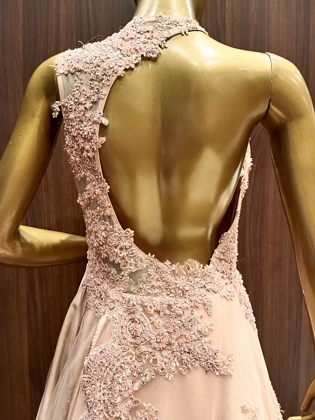 Pastel Peach Crystal Hand Embellished Layered Gown with Resham Embroidery
