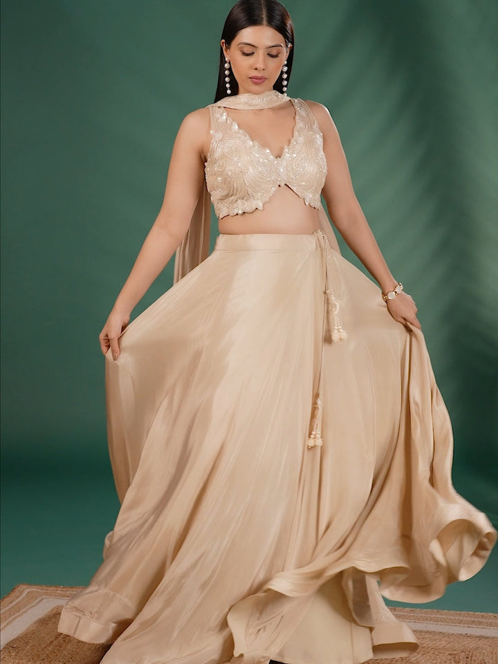 Cut Dana Embellished Sleeveless Blouse and Flared Lehenga Set with Dupatta