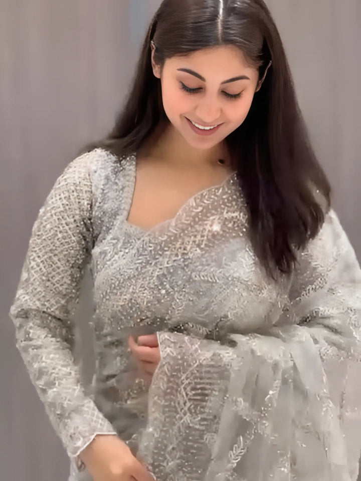 Elegant Silver Grey Embroidered Net Saree with Sequin Work & Full Sleeve Blouse