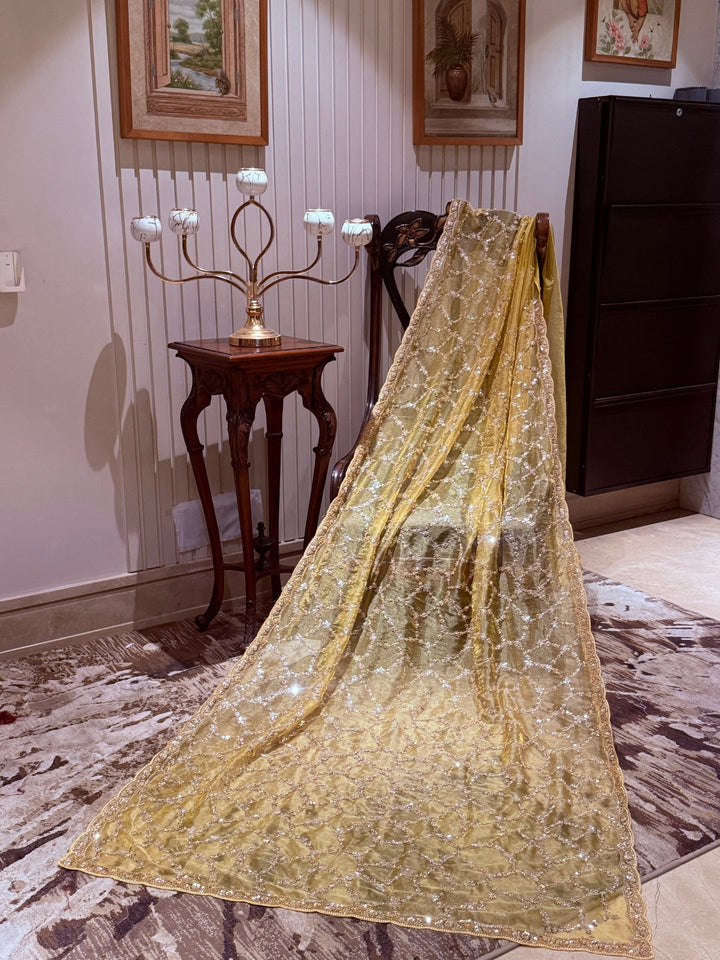 Gold Shimmer Net Saree with Geometric Trellis Mirror & Floral Sequin Handwork Border