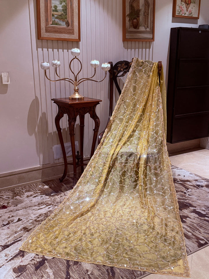 Gold Shimmer Net Saree with Geometric Trellis Mirror & Floral Sequin Handwork Border
