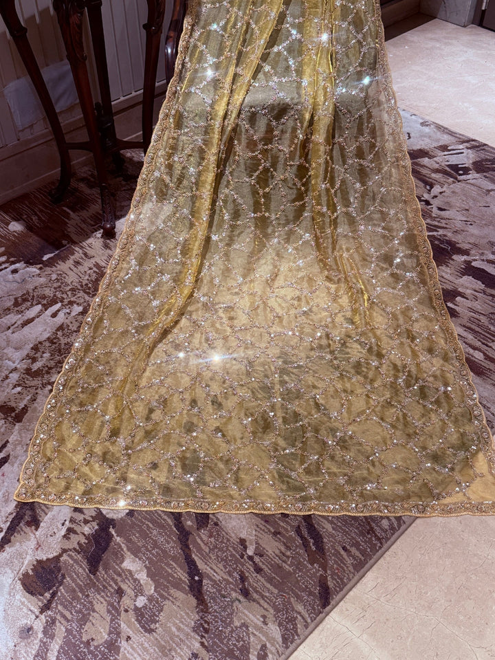Gold Shimmer Net Saree with Geometric Trellis Mirror & Floral Sequin Handwork Border