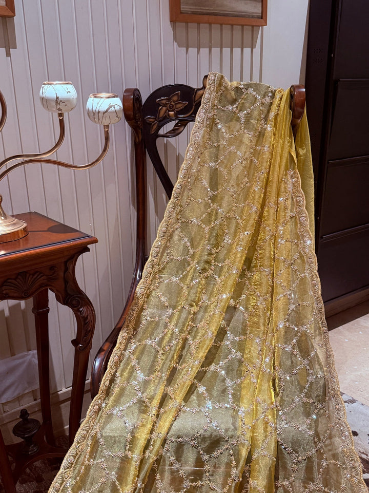 Gold Shimmer Net Saree with Geometric Trellis Mirror & Floral Sequin Handwork Border