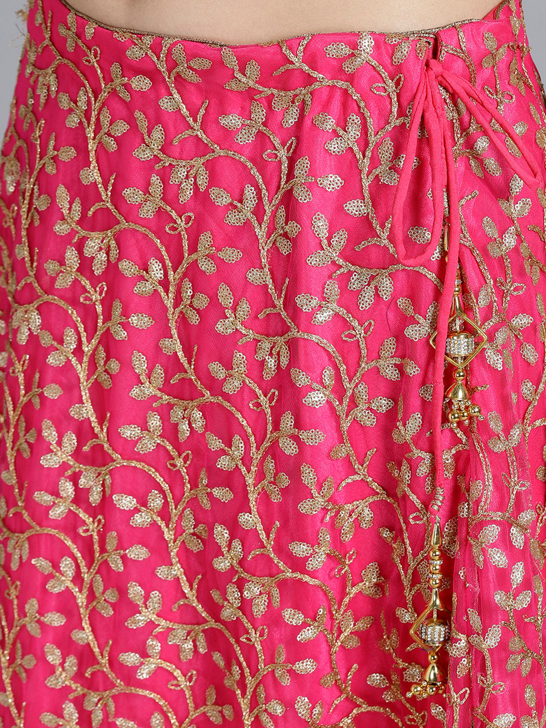 Embroidered Lehanga with Contrast Zircon Embellished Choli
