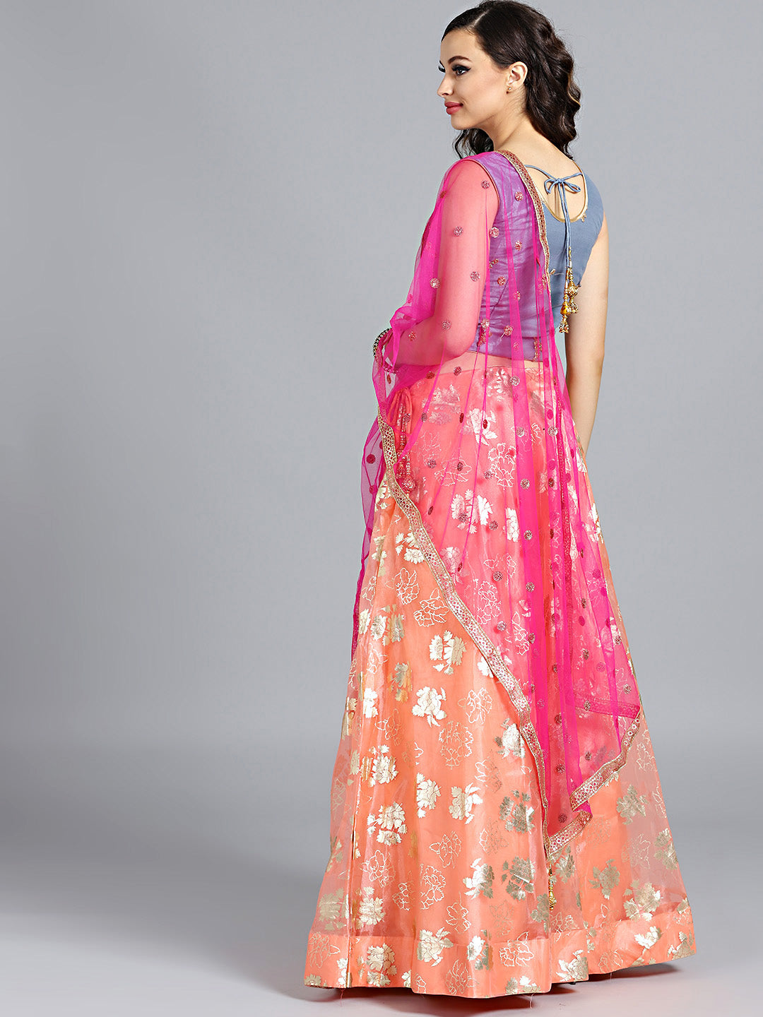 Embellished Colorblocked Organza Lehenga Choli