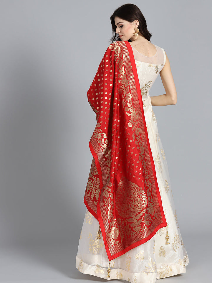 Textured Organza Anarkali with Banarasi Dupatta