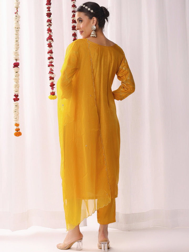 Aari Embroidery Gharchola Woven Kurta Set