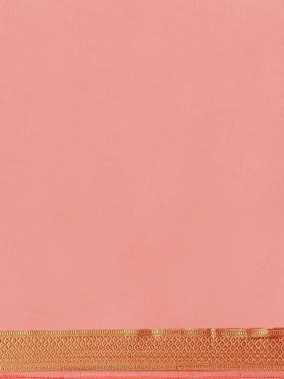 Pastel Handloom Raw Silk Saree with Intricate Zari Woven Border
