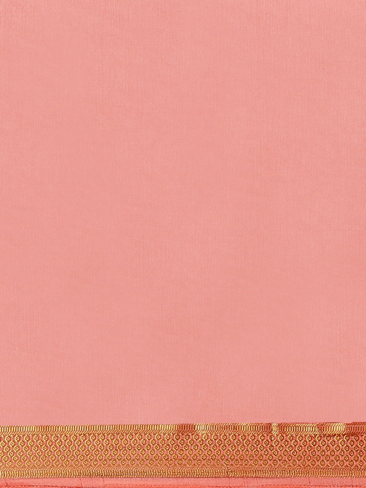 Pastel Handloom Raw Silk Saree with Intricate Zari Woven Border