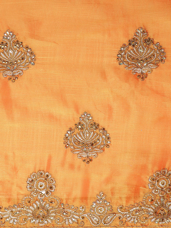 Chiffon Embellished Saree with Resham Embroidery
