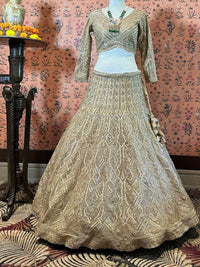 Golden Mirage Embellished Lehenga Ensemble