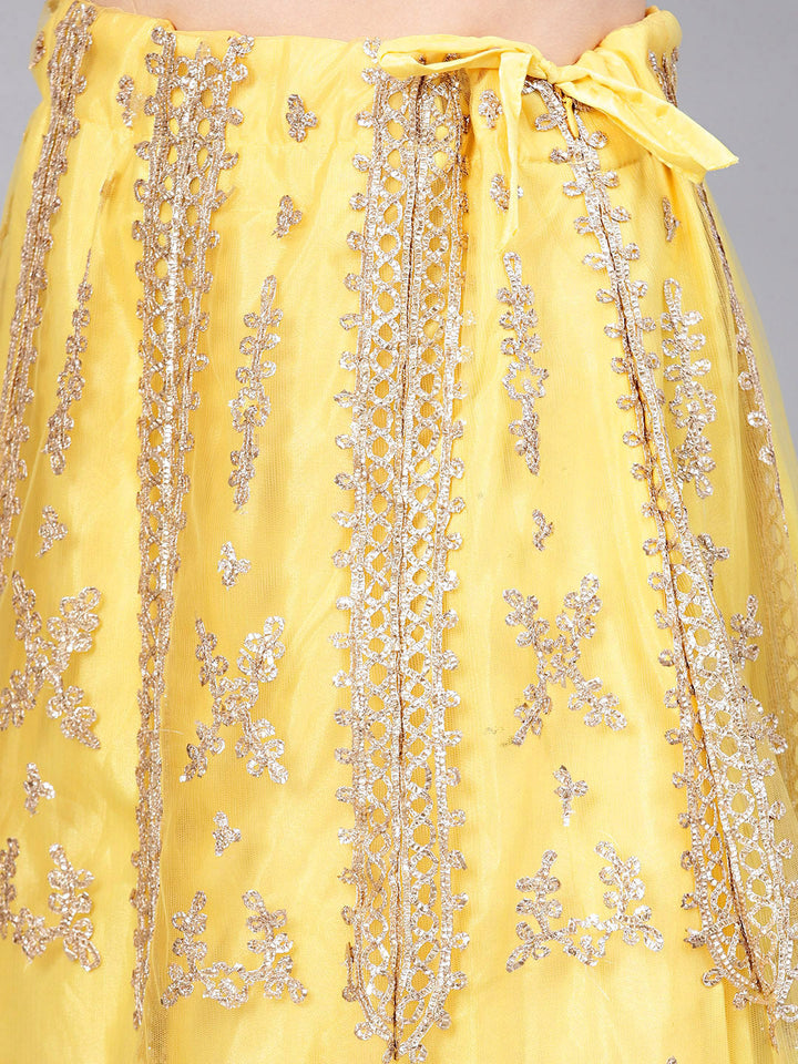 Resham Embroidered Lehenga Choli with Gota Work