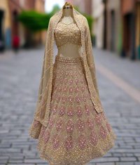 Soft Gold Embroidered Net Lehenga