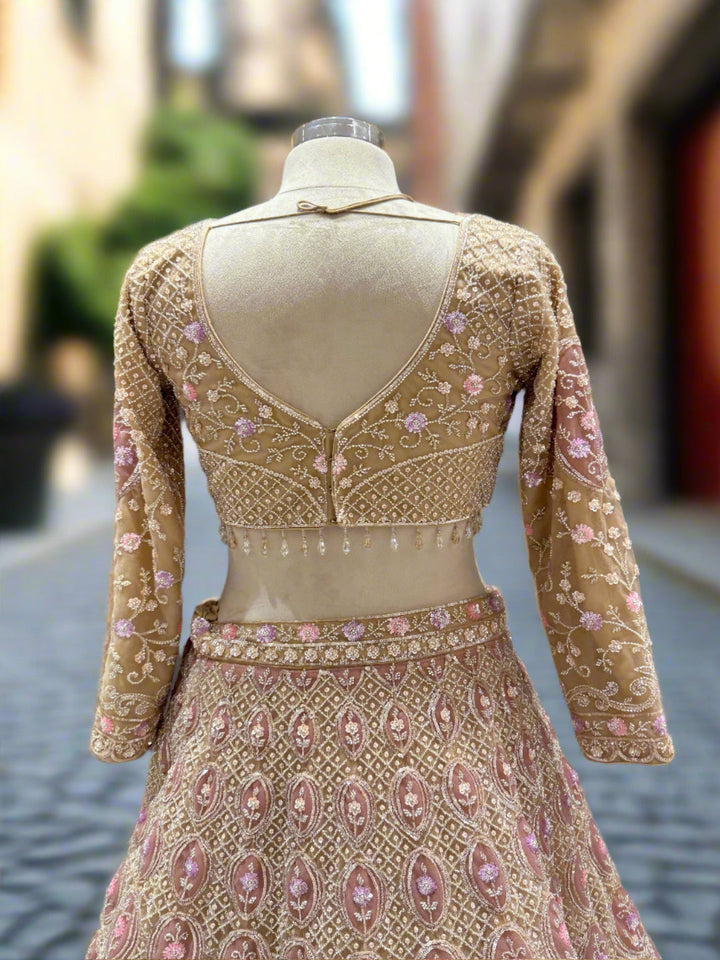 Soft Gold Embroidered Net Lehenga
