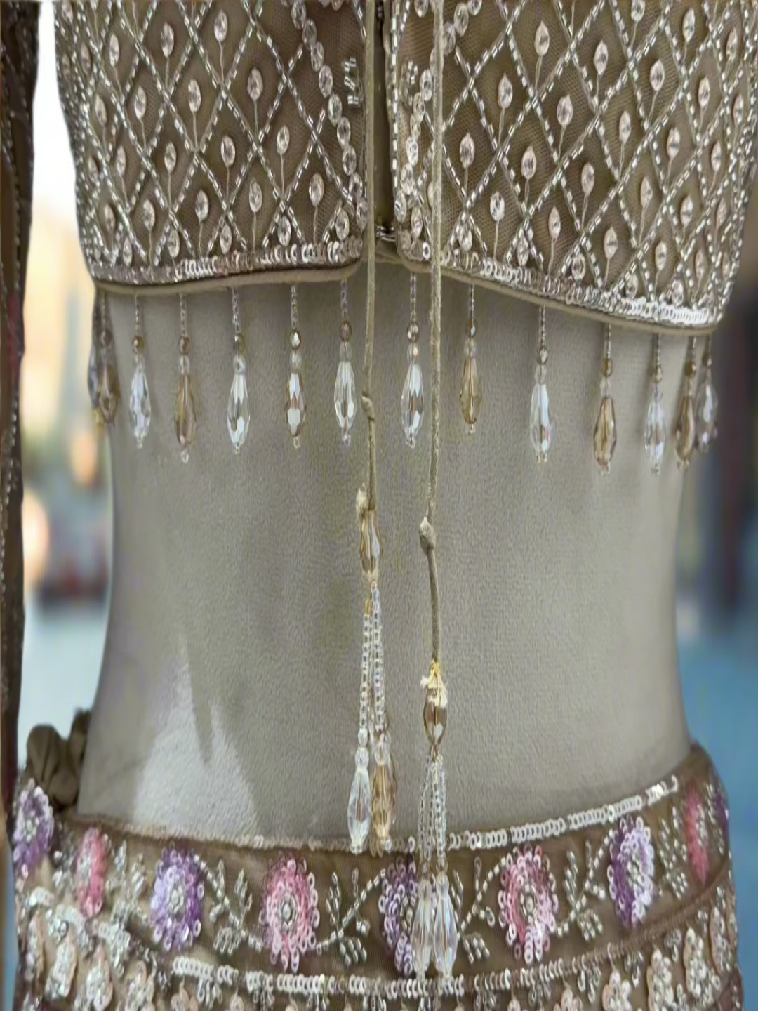 Soft Gold Embroidered Net Lehenga