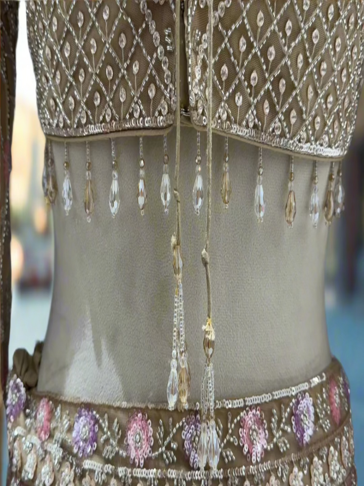 Soft Gold Embroidered Net Lehenga