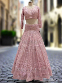 Blush Pink Embroidered Net Lehenga