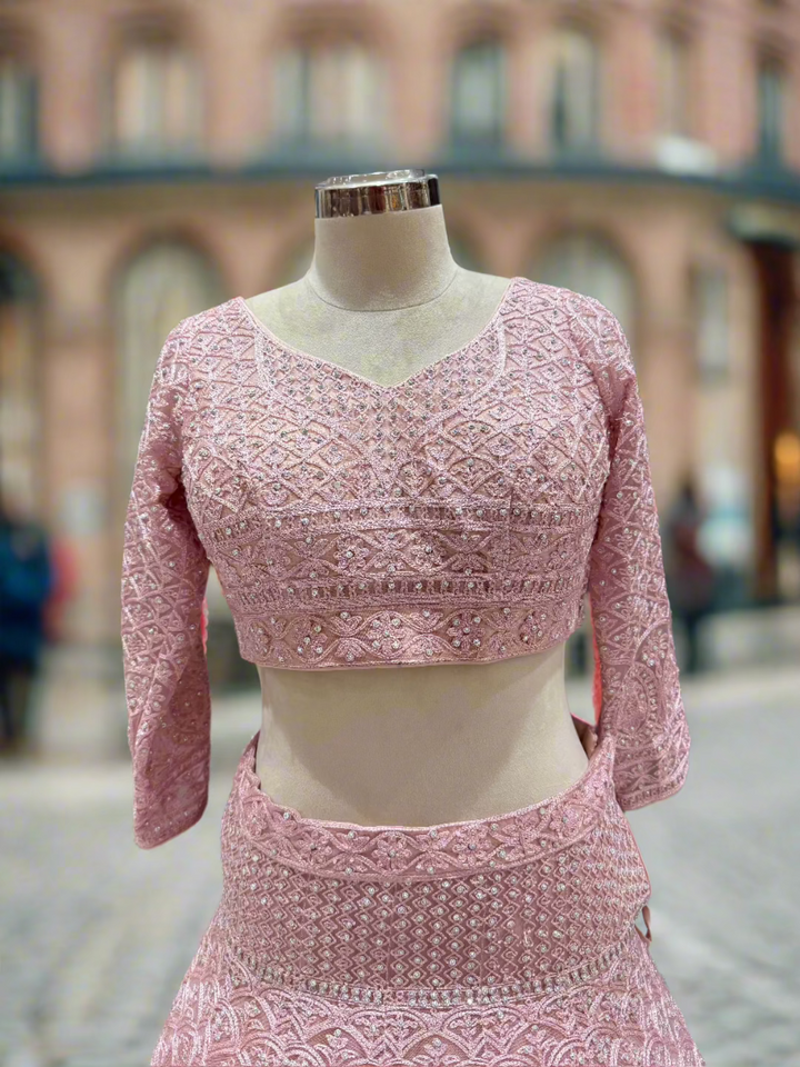 Blush Pink Embroidered Net Lehenga