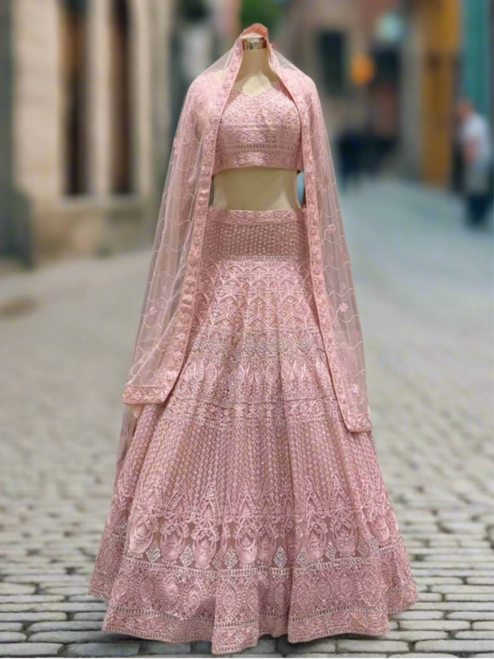 Blush Pink Embroidered Net Lehenga