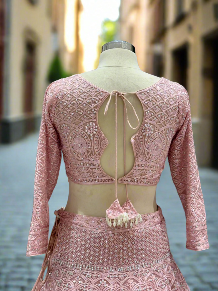 Blush Pink Embroidered Net Lehenga