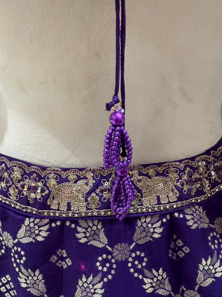 Royal Purple Banarasi Lehenga