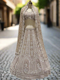 Exquisite Beige Embroidered Net Lehenga