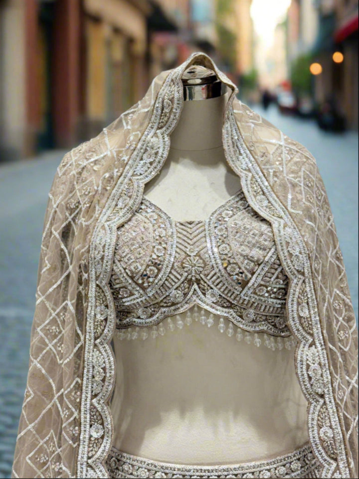 Exquisite Beige Embroidered Net Lehenga