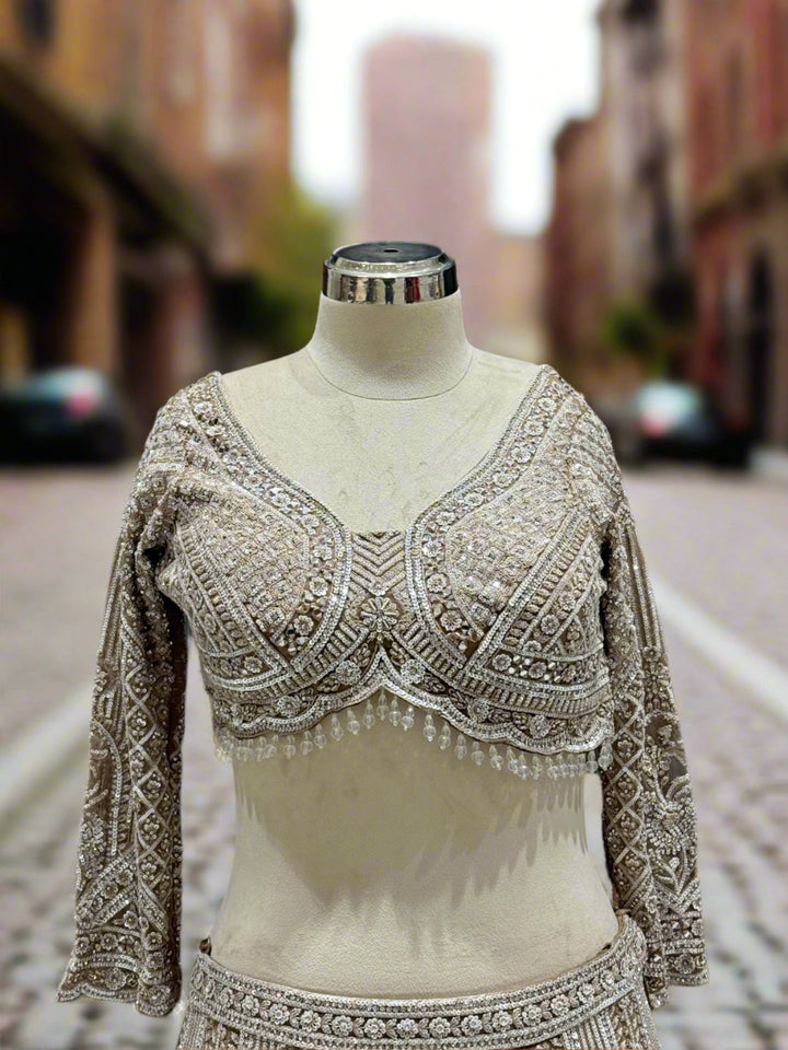 Exquisite Beige Embroidered Net Lehenga