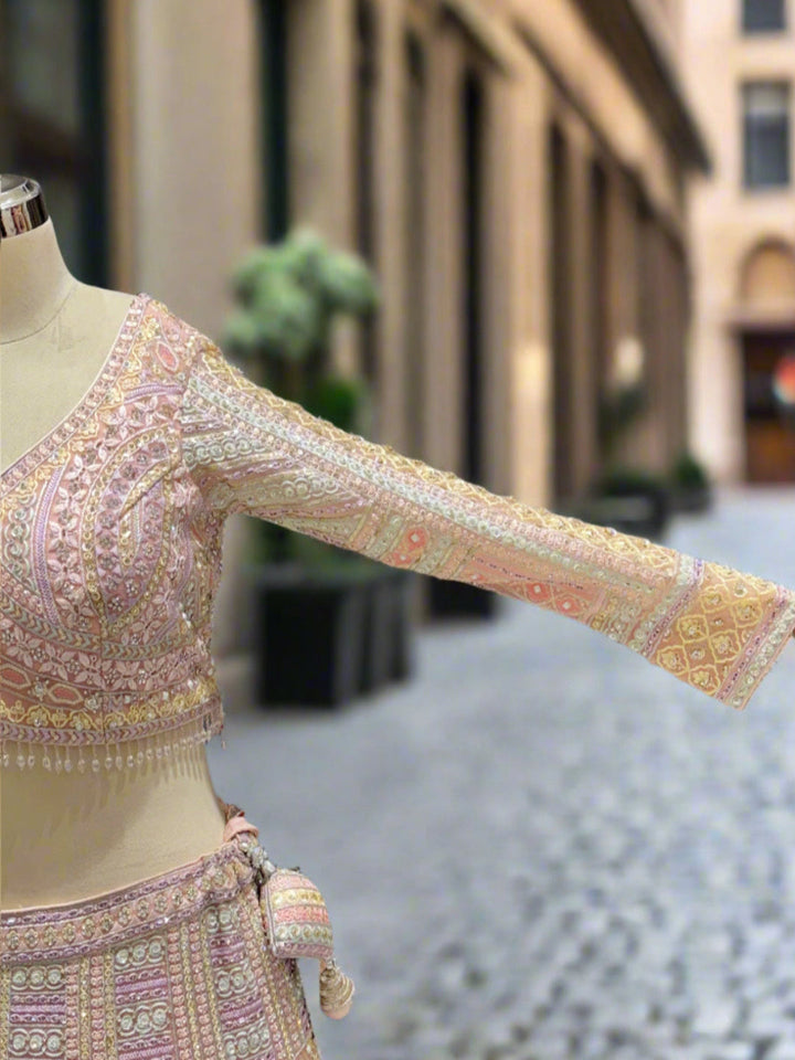 Pastel Multicolor Embroidered Net Lehenga