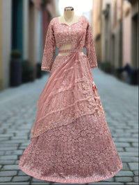 Exquisite Pink Net Lehenga