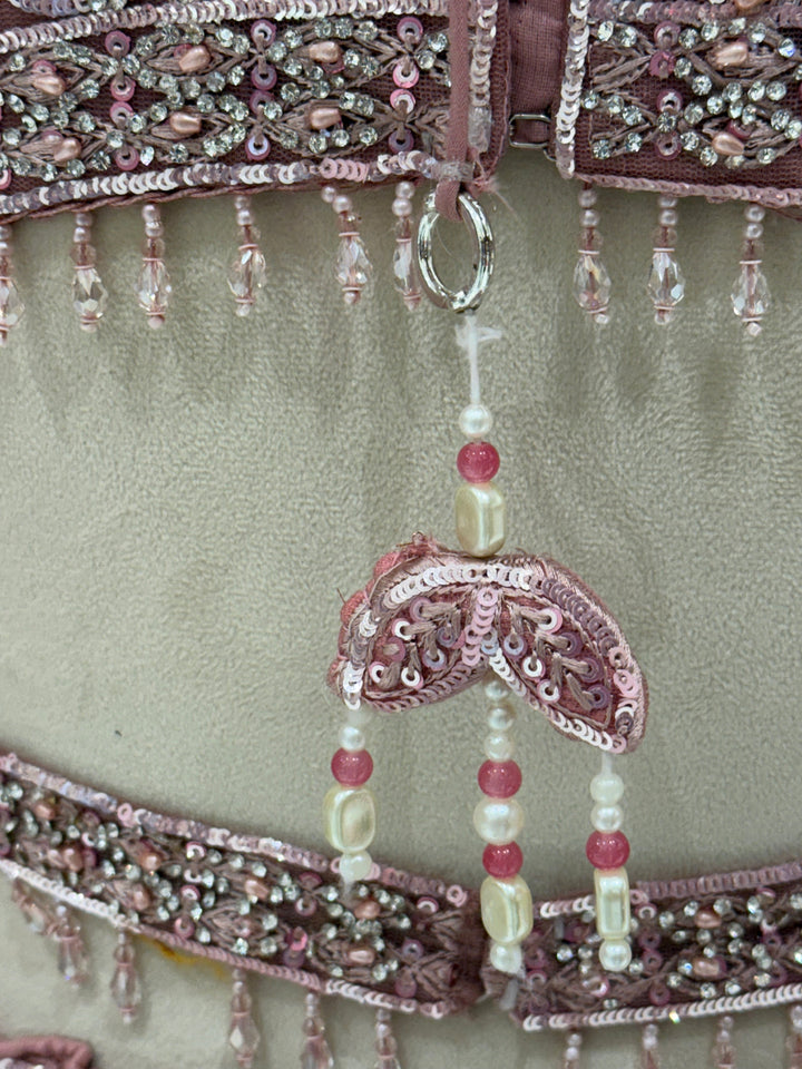 Exquisite Pink Net Lehenga