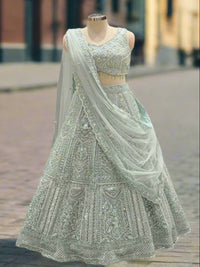 Elegant Pastel Green Net Lehenga