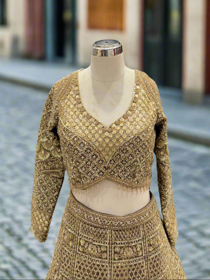 Exquisite Golden Embellished Net Lehenga