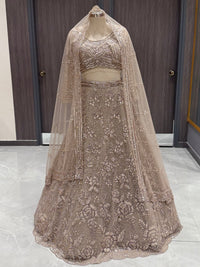 Exquisite Taupe Net Lehenga