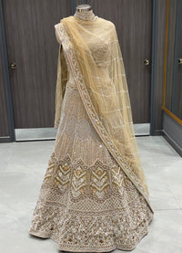 Luxurious Beige Net Lehenga