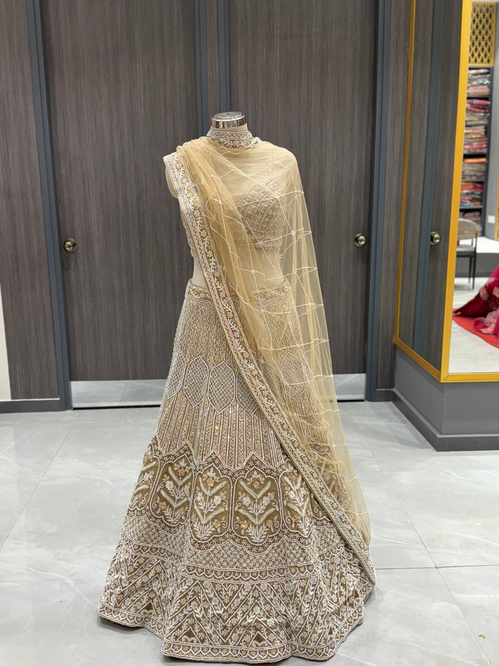 Luxurious Beige Net Lehenga
