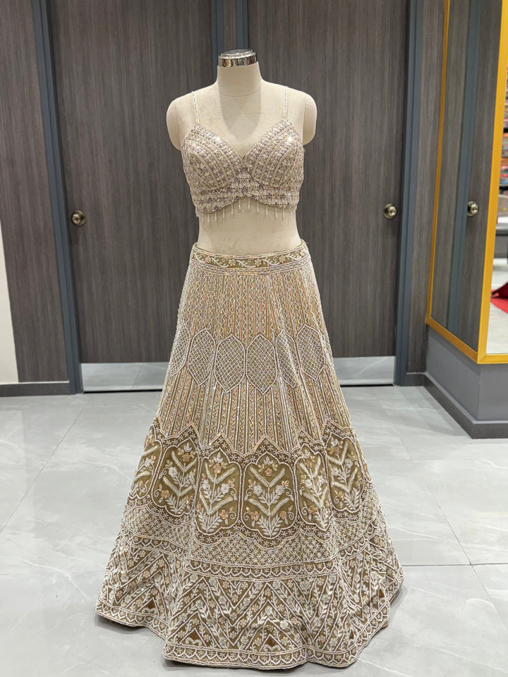 Luxurious Beige Net Lehenga
